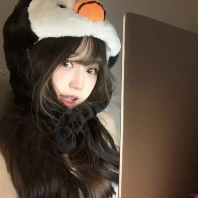 鹰狼传奇
